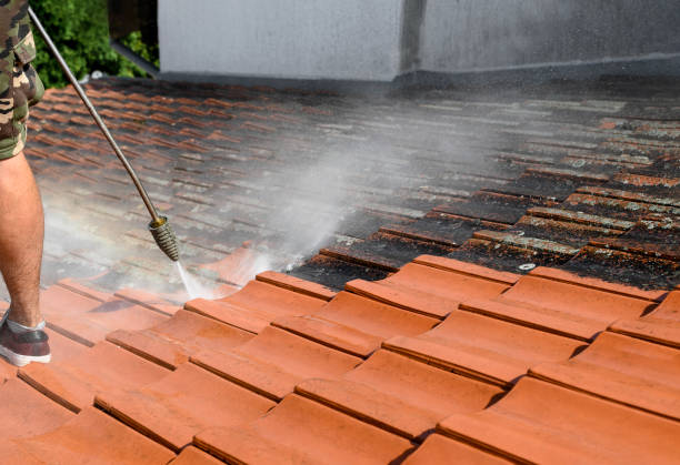 Best Local Pressure Washing Services  in Ridgefield, WA