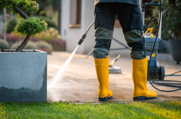 Best Affordable Pressure Washing  in Ridgefield, WA
